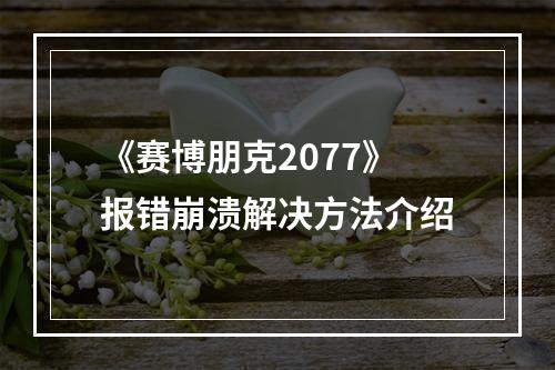 《赛博朋克2077》报错崩溃解决方法介绍