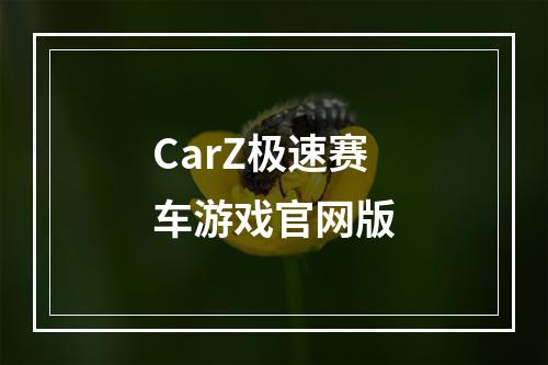 CarZ极速赛车游戏官网版