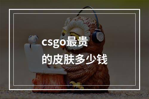 csgo最贵的皮肤多少钱