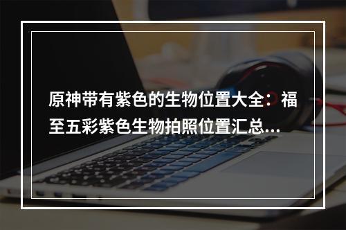 原神带有紫色的生物位置大全：福至五彩紫色生物拍照位置汇总[多图]