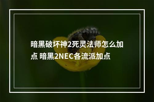 暗黑破坏神2死灵法师怎么加点 暗黑2NEC各流派加点