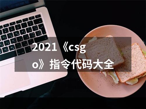 2021《csgo》指令代码大全