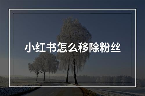 小红书怎么移除粉丝