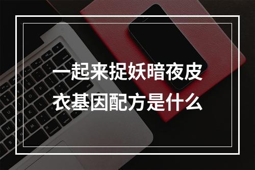 一起来捉妖暗夜皮衣基因配方是什么