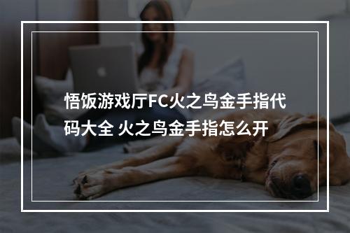 悟饭游戏厅FC火之鸟金手指代码大全 火之鸟金手指怎么开