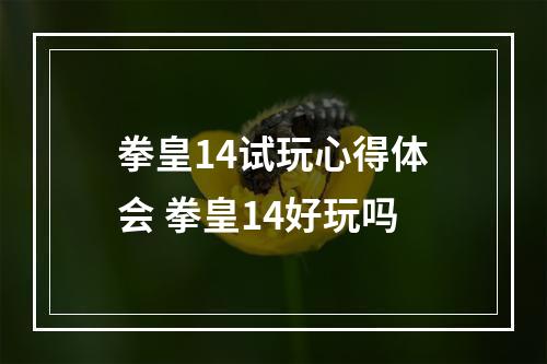 拳皇14试玩心得体会 拳皇14好玩吗