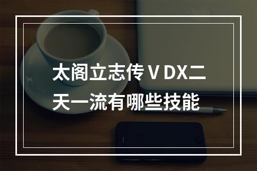 太阁立志传ⅤDX二天一流有哪些技能