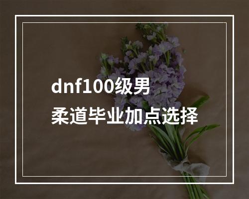 dnf100级男柔道毕业加点选择