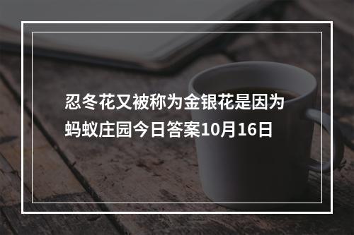 忍冬花又被称为金银花是因为 蚂蚁庄园今日答案10月16日