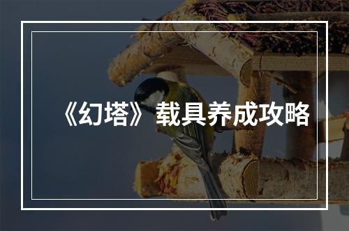 《幻塔》载具养成攻略