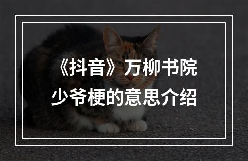 《抖音》万柳书院少爷梗的意思介绍