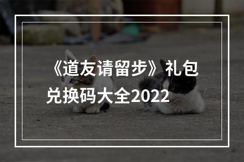 《道友请留步》礼包兑换码大全2022