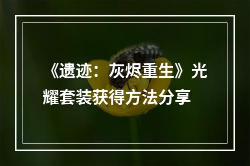 《遗迹：灰烬重生》光耀套装获得方法分享