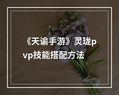 《天谕手游》灵珑pvp技能搭配方法