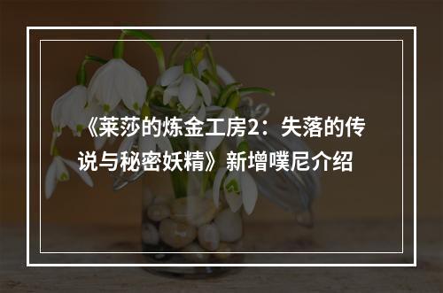 《莱莎的炼金工房2：失落的传说与秘密妖精》新增噗尼介绍