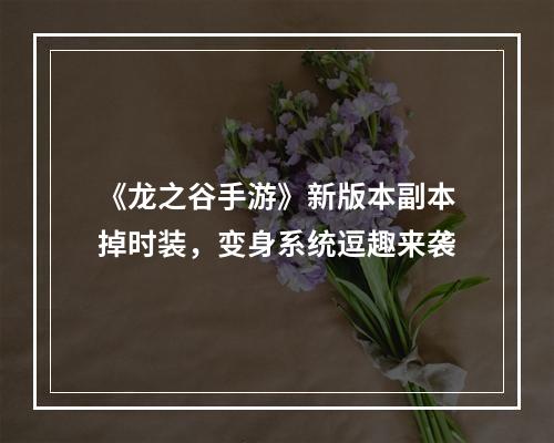 《龙之谷手游》新版本副本掉时装，变身系统逗趣来袭