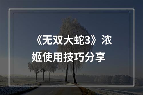 《无双大蛇3》浓姬使用技巧分享