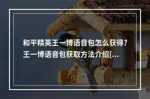 和平精英王一博语音包怎么获得？王一博语音包获取方法介绍[多图]