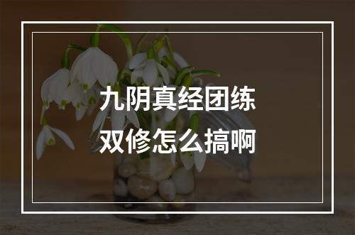 九阴真经团练双修怎么搞啊