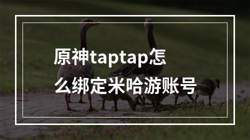 原神taptap怎么绑定米哈游账号