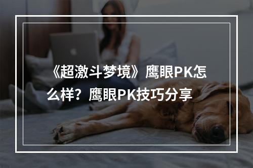 《超激斗梦境》鹰眼PK怎么样？鹰眼PK技巧分享