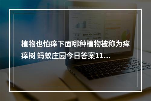 植物也怕痒下面哪种植物被称为痒痒树 蚂蚁庄园今日答案11月9日