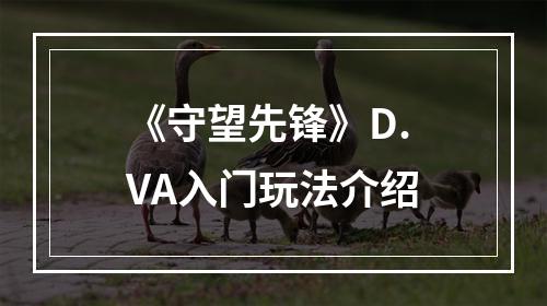 《守望先锋》D.VA入门玩法介绍