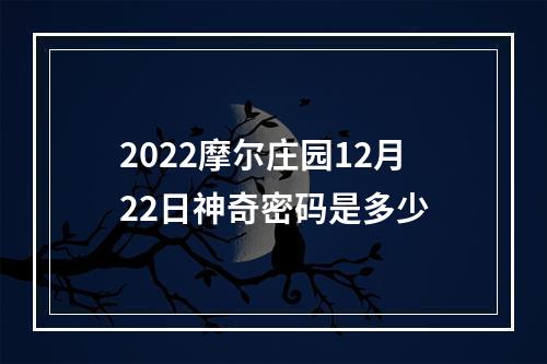 2022摩尔庄园12月22日神奇密码是多少