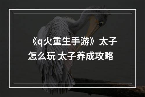 《q火重生手游》太子怎么玩 太子养成攻略