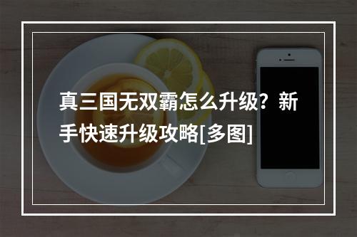 真三国无双霸怎么升级？新手快速升级攻略[多图]