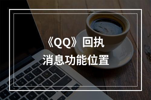 《QQ》回执消息功能位置