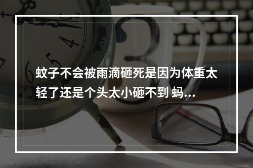 蚊子不会被雨滴砸死是因为体重太轻了还是个头太小砸不到 蚂蚁庄园今日答案6.9