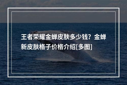 王者荣耀金蝉皮肤多少钱？金蝉新皮肤格子价格介绍[多图]