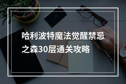 哈利波特魔法觉醒禁忌之森30层通关攻略