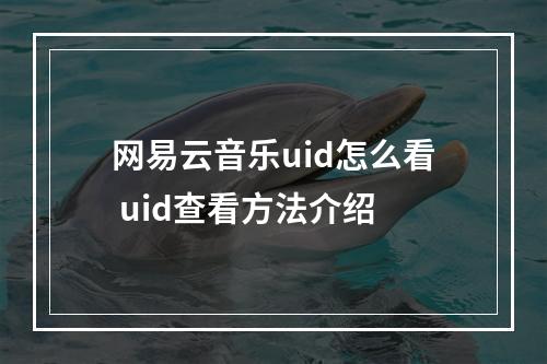 网易云音乐uid怎么看 uid查看方法介绍