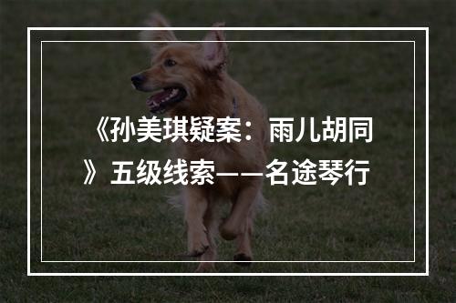 《孙美琪疑案：雨儿胡同》五级线索——名途琴行