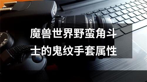 魔兽世界野蛮角斗士的鬼纹手套属性