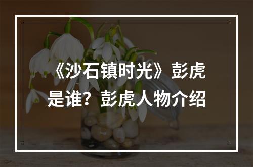 《沙石镇时光》彭虎是谁？彭虎人物介绍