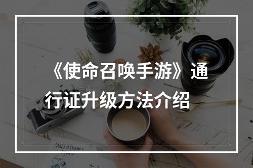 《使命召唤手游》通行证升级方法介绍