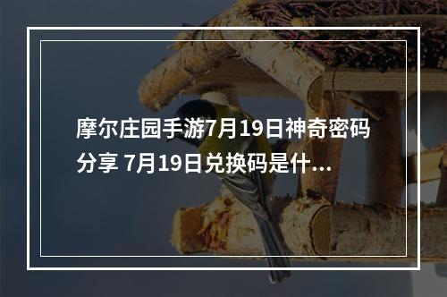 摩尔庄园手游7月19日神奇密码分享 7月19日兑换码是什么