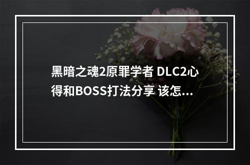 黑暗之魂2原罪学者 DLC2心得和BOSS打法分享 该怎么打