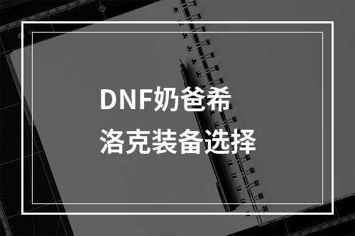 DNF奶爸希洛克装备选择