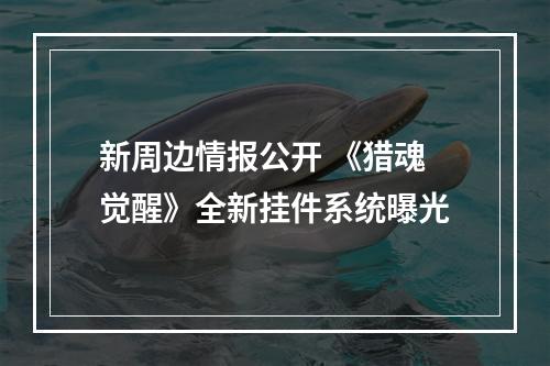 新周边情报公开 《猎魂觉醒》全新挂件系统曝光