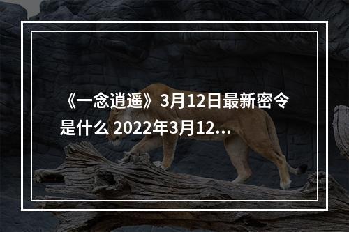 《一念逍遥》3月12日最新密令是什么 2022年3月12日最新密令