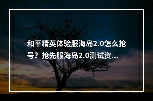 和平精英体验服海岛2.0怎么抢号？抢先服海岛2.0测试资格获取方法[多图]