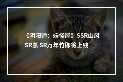 《阴阳师：妖怪屋》SSR山风 SR薰 SR万年竹即将上线