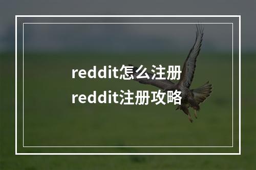 reddit怎么注册 reddit注册攻略