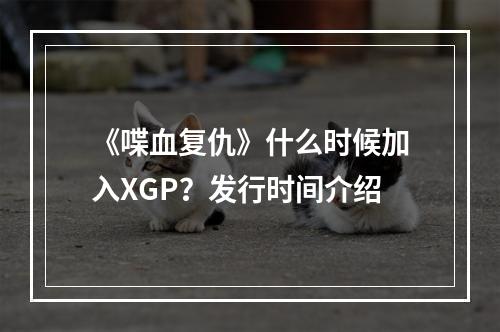 《喋血复仇》什么时候加入XGP？发行时间介绍