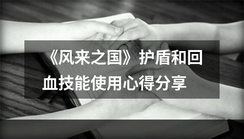 《风来之国》护盾和回血技能使用心得分享