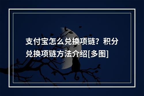 支付宝怎么兑换项链？积分兑换项链方法介绍[多图]